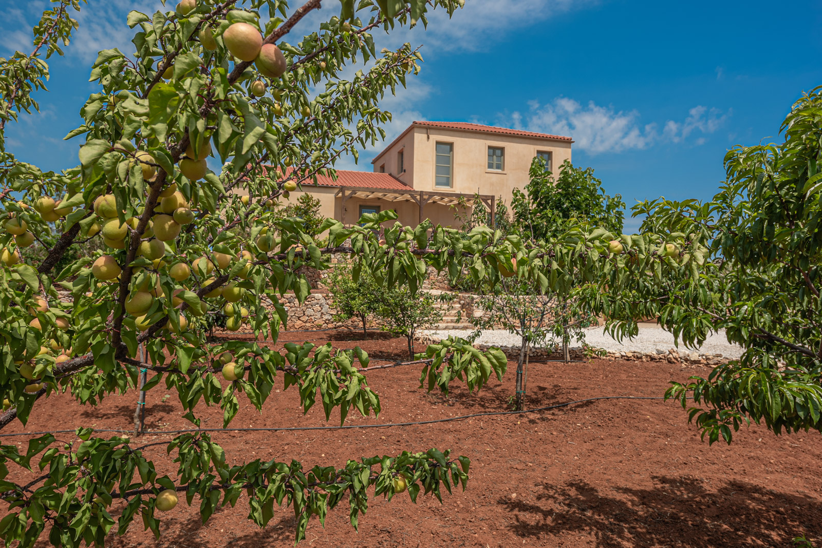 Aquila Villa, photograph 45