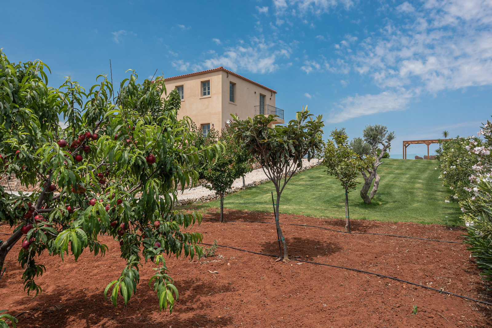 Aquila Villa, photograph 46